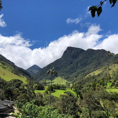 Cabanas Valle Del Cocora La Truchera Salento Ngoại thất bức ảnh
