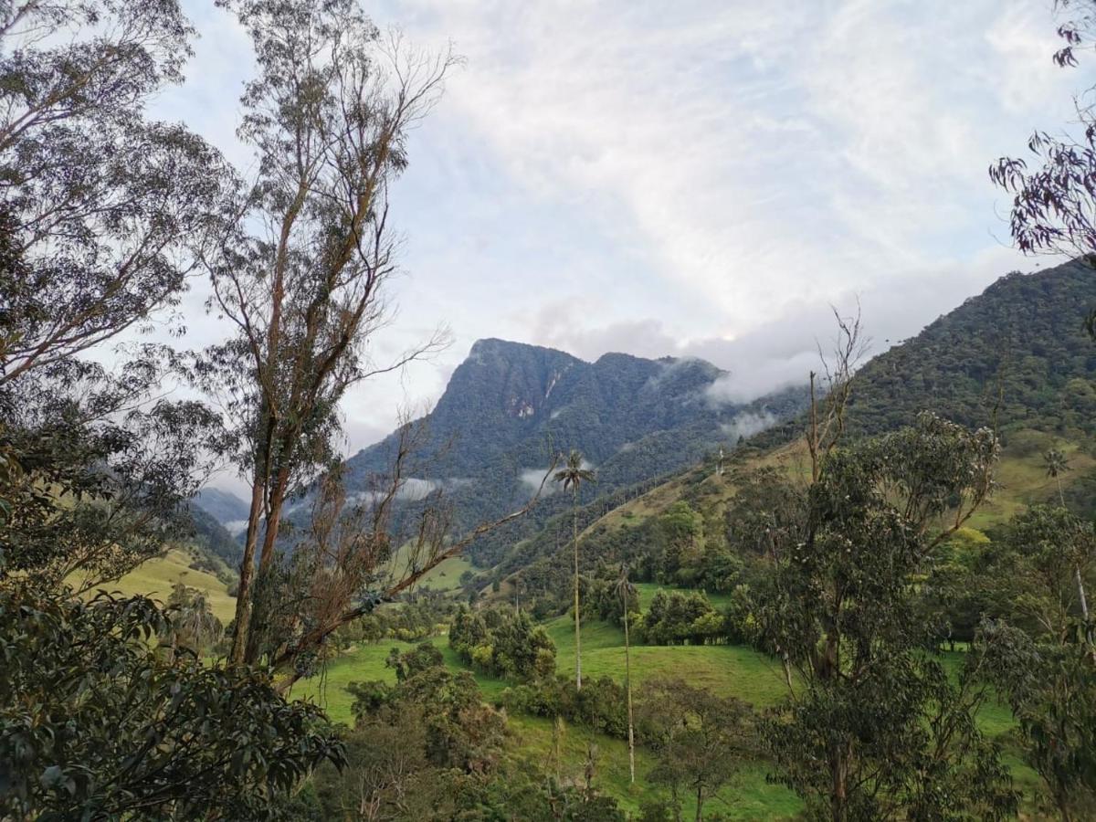 Cabanas Valle Del Cocora La Truchera Salento Ngoại thất bức ảnh