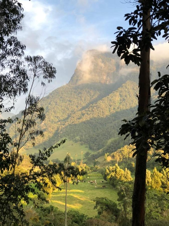 Cabanas Valle Del Cocora La Truchera Salento Ngoại thất bức ảnh