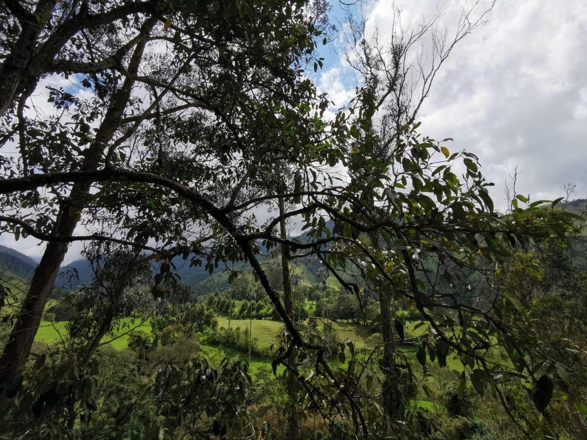 Cabanas Valle Del Cocora La Truchera Salento Ngoại thất bức ảnh