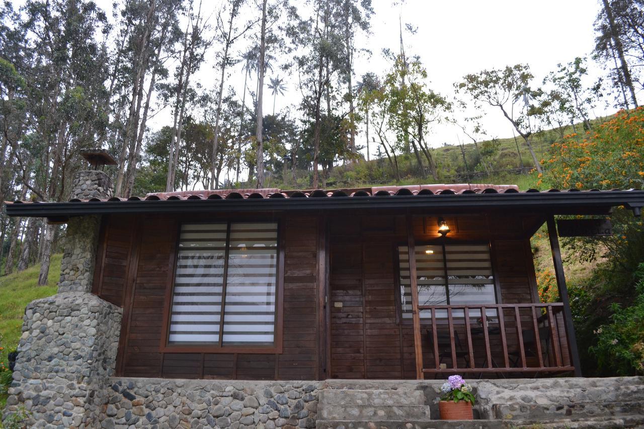 Cabanas Valle Del Cocora La Truchera Salento Ngoại thất bức ảnh