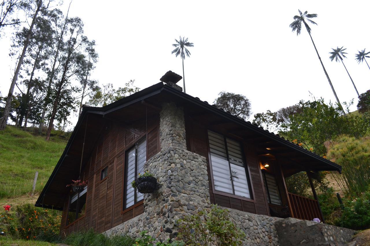 Cabanas Valle Del Cocora La Truchera Salento Ngoại thất bức ảnh