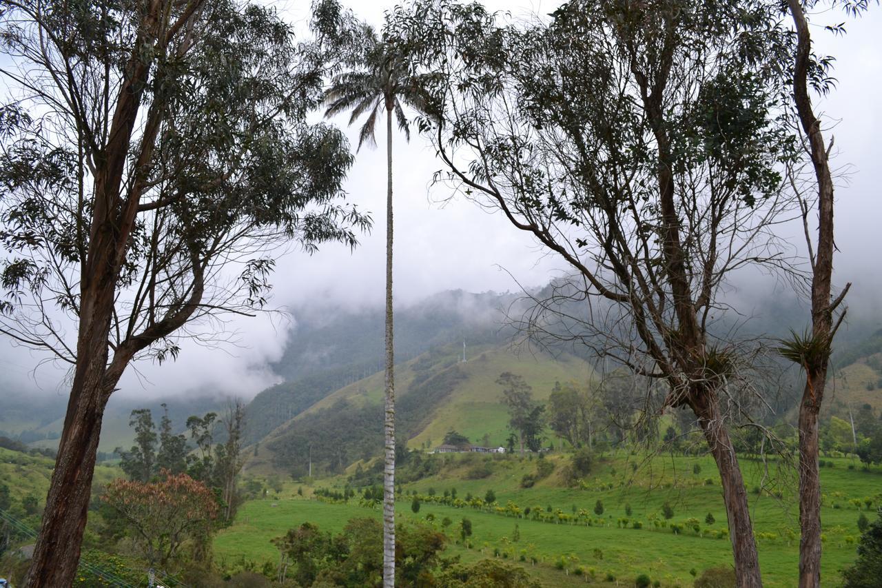 Cabanas Valle Del Cocora La Truchera Salento Ngoại thất bức ảnh