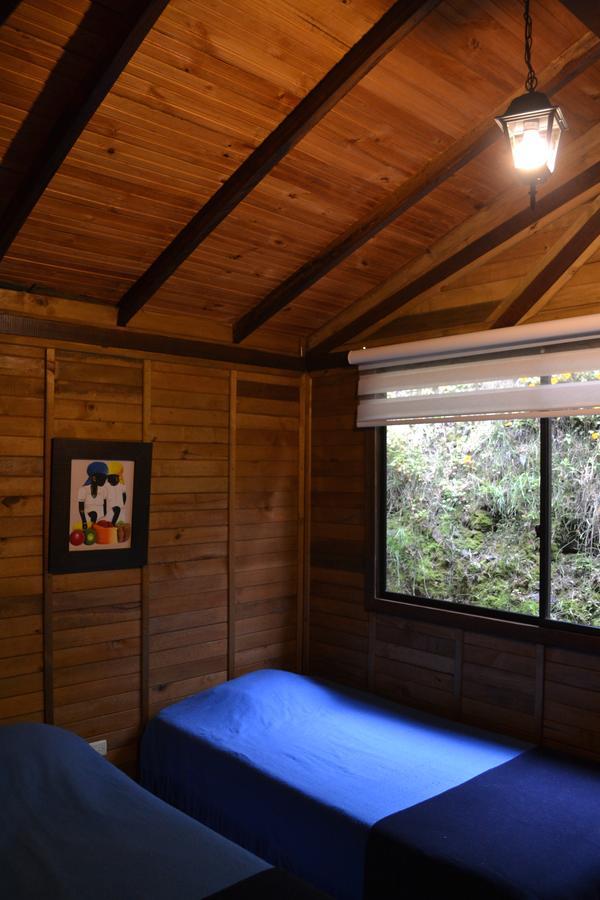 Cabanas Valle Del Cocora La Truchera Salento Ngoại thất bức ảnh