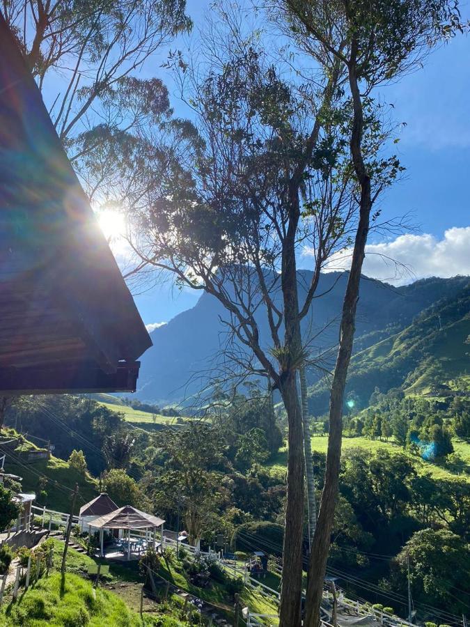 Cabanas Valle Del Cocora La Truchera Salento Ngoại thất bức ảnh