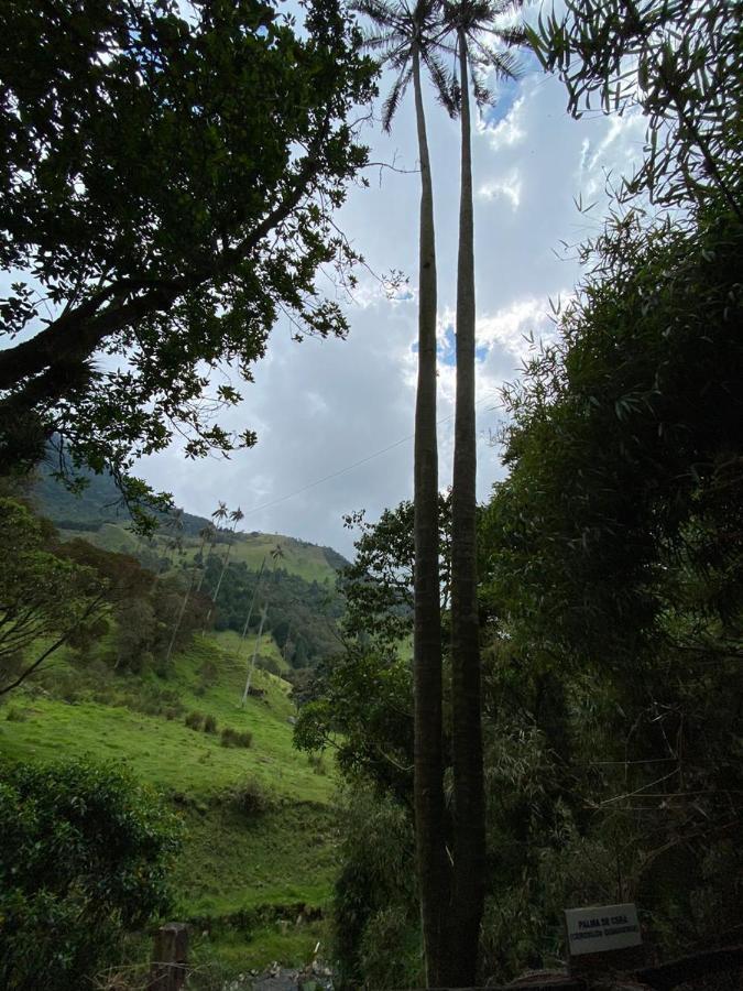 Cabanas Valle Del Cocora La Truchera Salento Ngoại thất bức ảnh