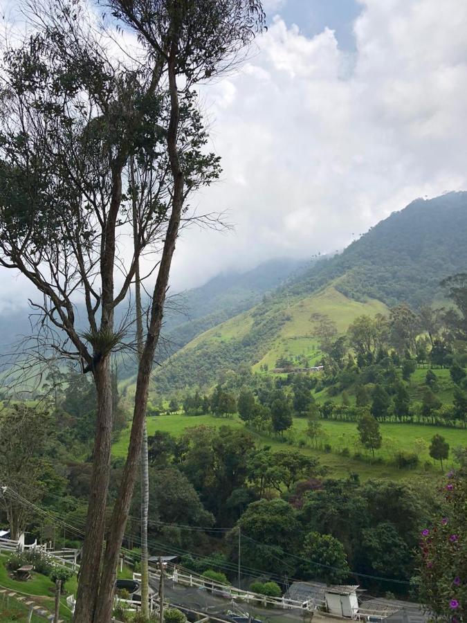 Cabanas Valle Del Cocora La Truchera Salento Ngoại thất bức ảnh
