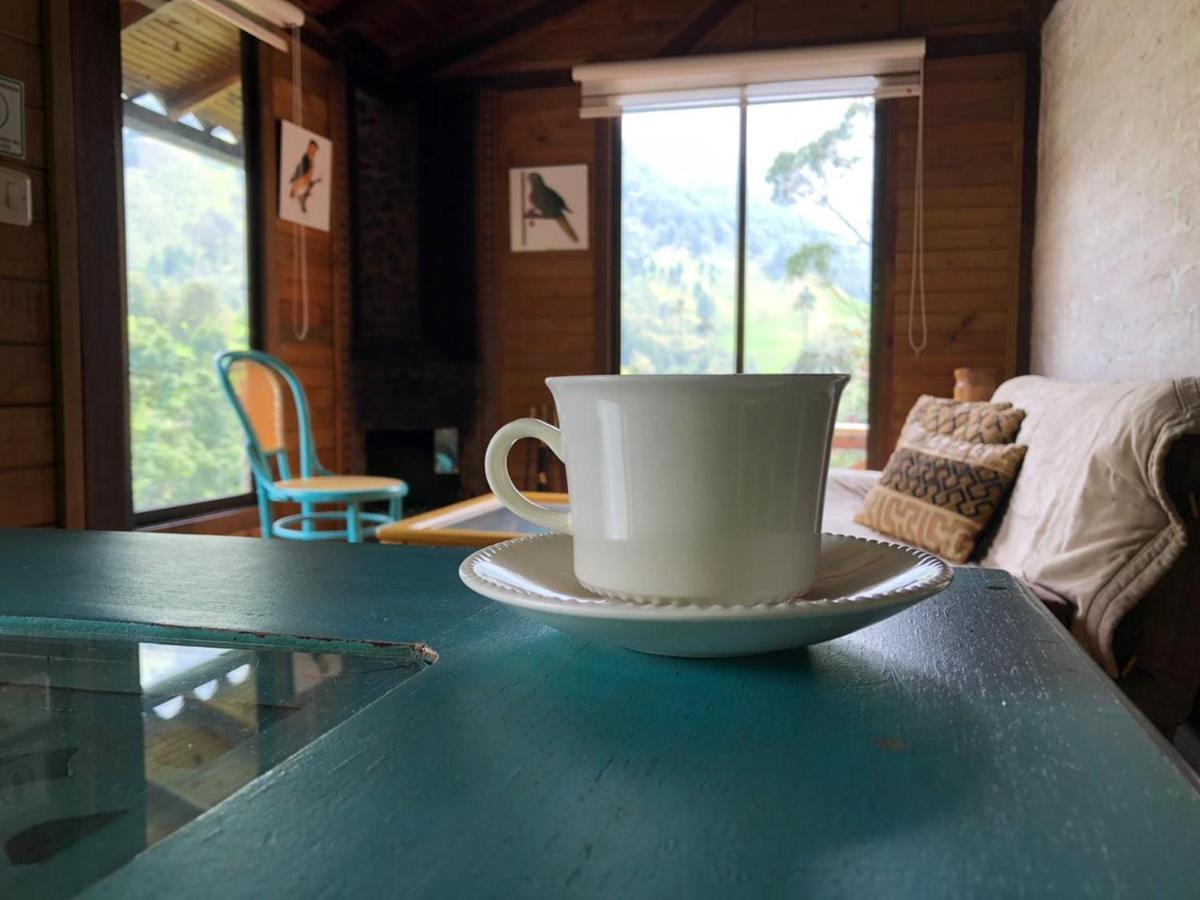 Cabanas Valle Del Cocora La Truchera Salento Ngoại thất bức ảnh