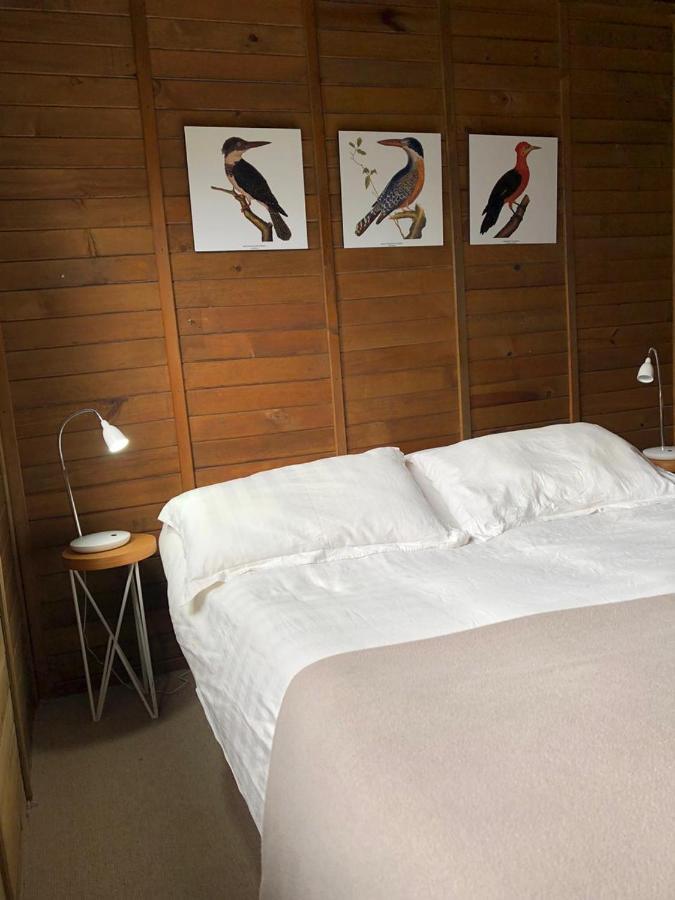 Cabanas Valle Del Cocora La Truchera Salento Ngoại thất bức ảnh