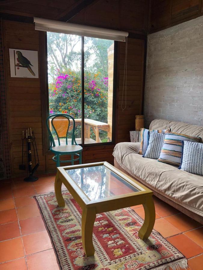 Cabanas Valle Del Cocora La Truchera Salento Ngoại thất bức ảnh