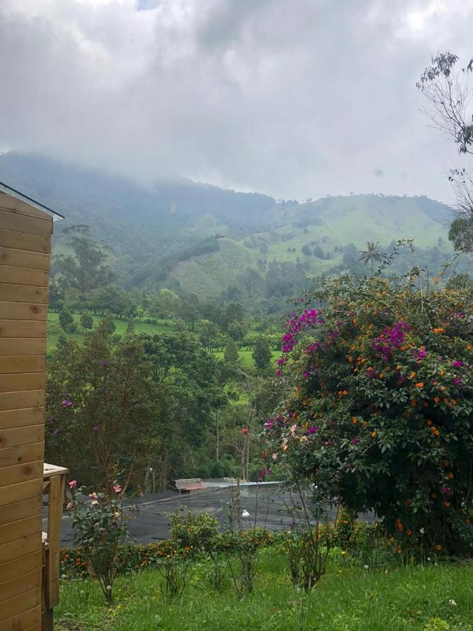 Cabanas Valle Del Cocora La Truchera Salento Ngoại thất bức ảnh
