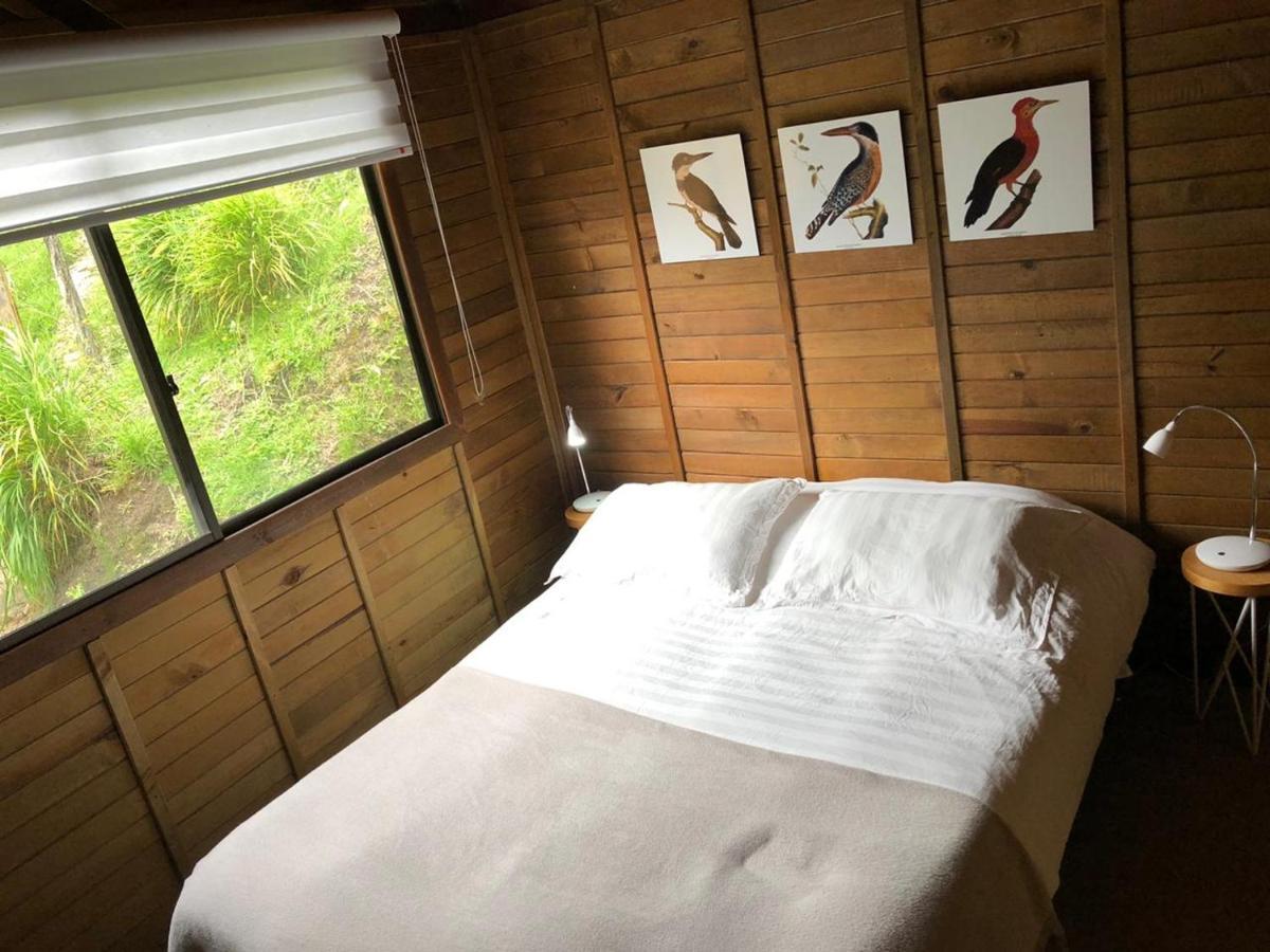 Cabanas Valle Del Cocora La Truchera Salento Ngoại thất bức ảnh